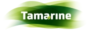 Logo Tamarine