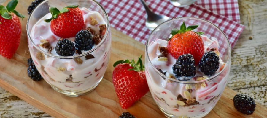 iogurte faz mal para o intestino