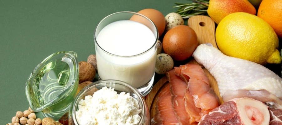Imagem destaque do post Alimentos probióticos: 10 principais para incluir na dieta!