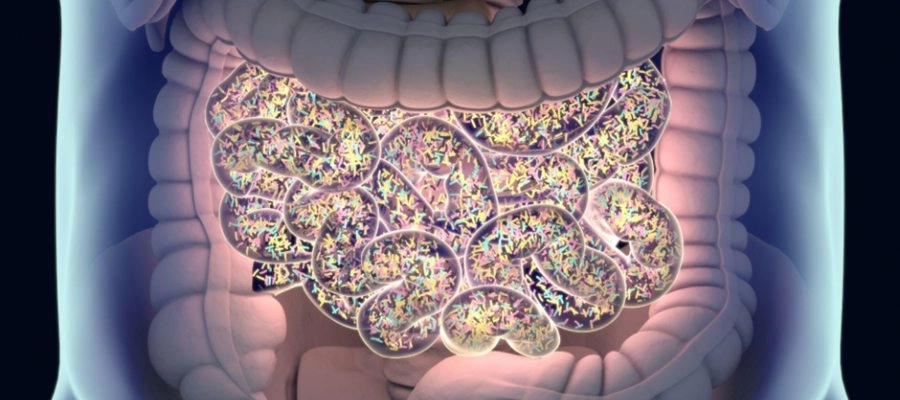 ilustração da microbiota intestinal