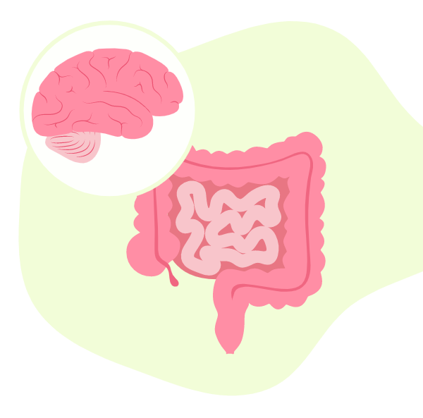 Ilustração de um intestino com referência à um cérebro.